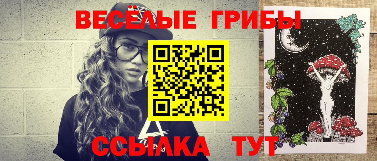 Псилоцибиновые грибы Psilocybine cubensis Еманжелинск