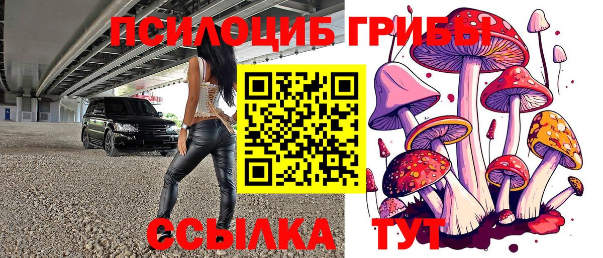 Еманжелинск  Галлюциногенные грибы Psilocybine cubensis  сколько стоит  Вход с VPN 